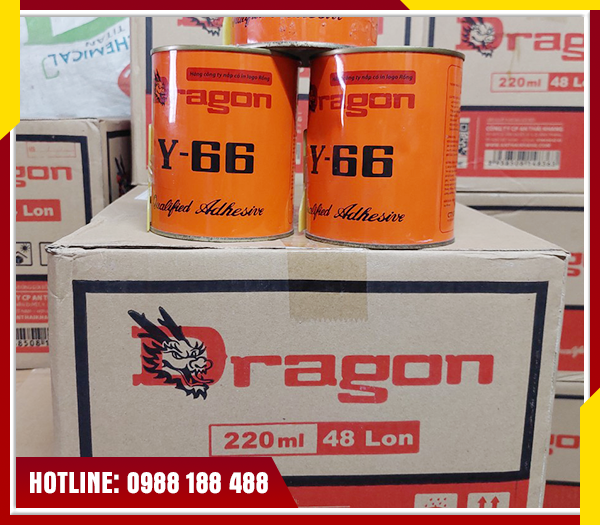 Keo rồng vàng Y66